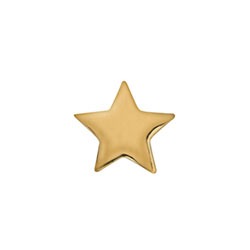 Charm estrela dourada